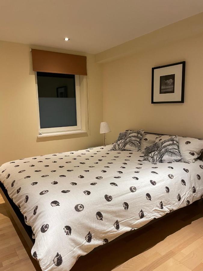 Modern Apartment In Central London By River Thames מראה חיצוני תמונה