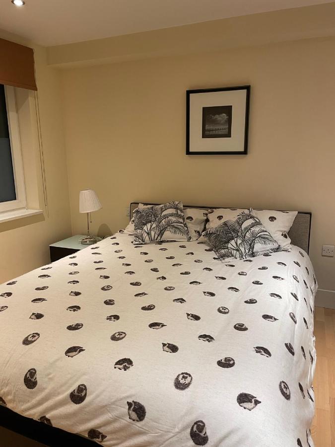 Modern Apartment In Central London By River Thames מראה חיצוני תמונה